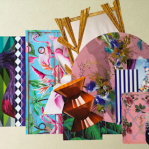 Capture d’écran 2026-02-19 à 13.01.04