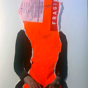 Capture d’écran 2026-02-19 à 13.06.48