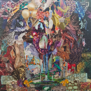 Capture d’écran 2026-02-19 à 13.09.39